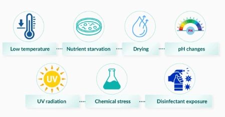 细菌“消失”了……它们真的不在了吗? 配图 4